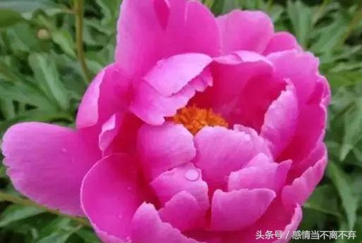 打工幽默顺口溜句子,卖货搞笑顺口溜经典句子