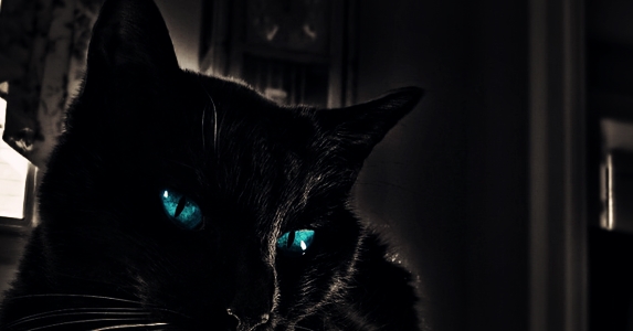 黑猫死在过世亲人家门口,别人家黑猫死在我家有什么征兆