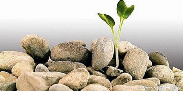 方向错了只有死路一道,当方向错了停下来就是最好的方式