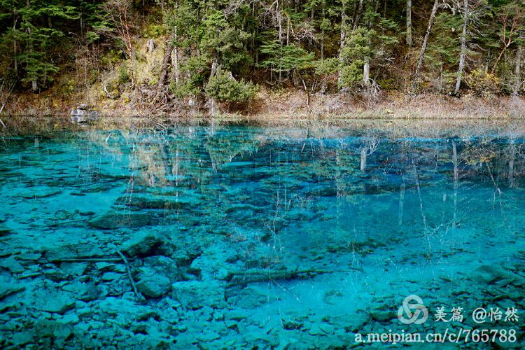 九寨沟让人失语的美丽童话世界,九寨沟有没有童话世界的景点