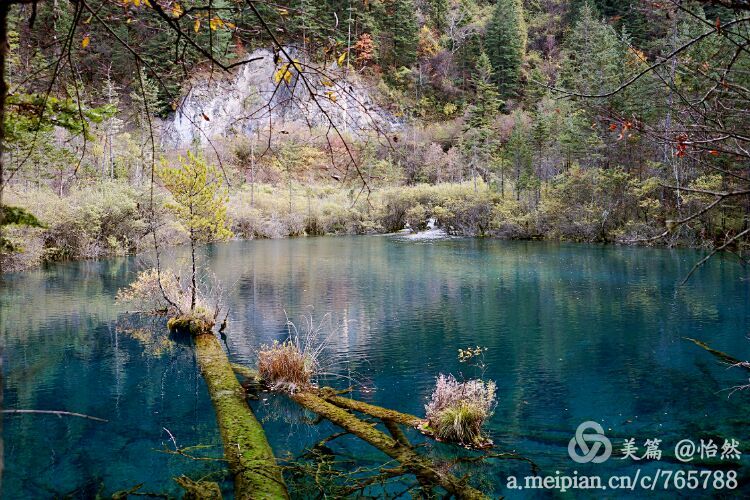 九寨沟让人失语的美丽童话世界,九寨沟有没有童话世界的景点
