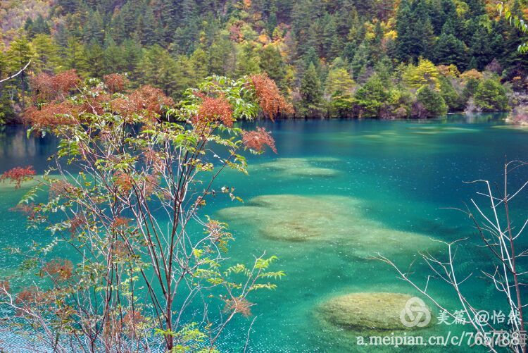 九寨沟让人失语的美丽童话世界,九寨沟有没有童话世界的景点