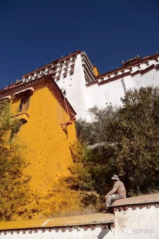 布达拉宫粉墙时间,布达拉宫一年一度的刷墙日