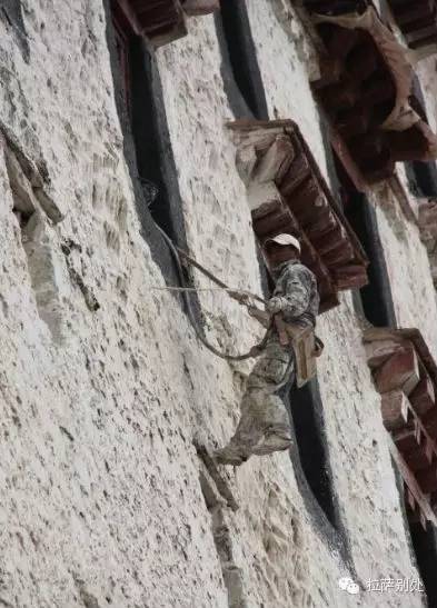 布达拉宫粉墙时间,布达拉宫一年一度的刷墙日