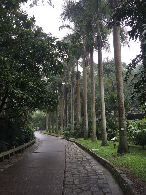 两大两小的厦门四日游