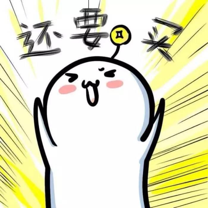 56个中美铲屎官每月花费,对,我就是这么变穷的