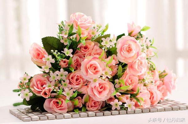 中国的十大国花中有没有彼岸花,十大国花是哪几种花