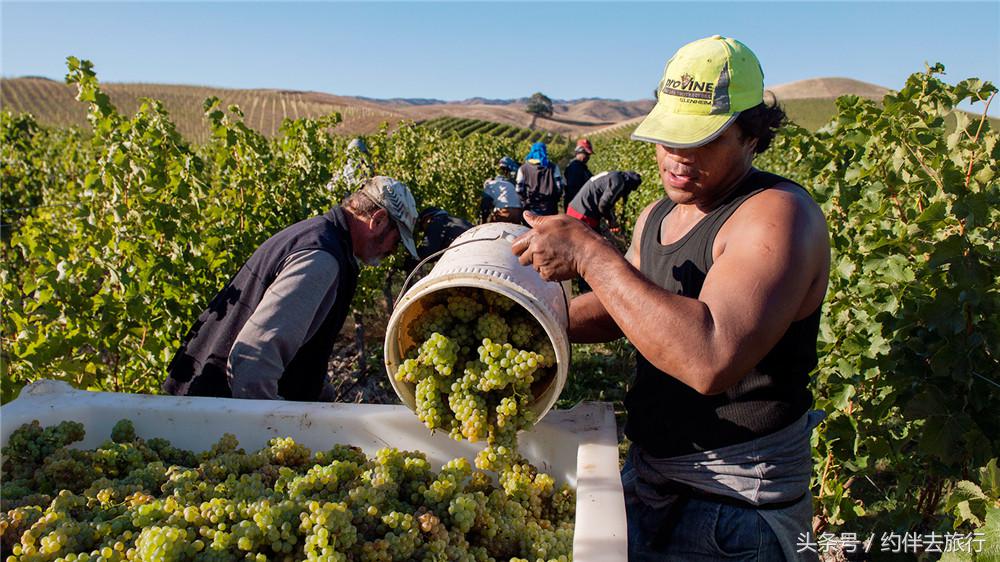 沉浸式感受中土世界,重回中土世界
