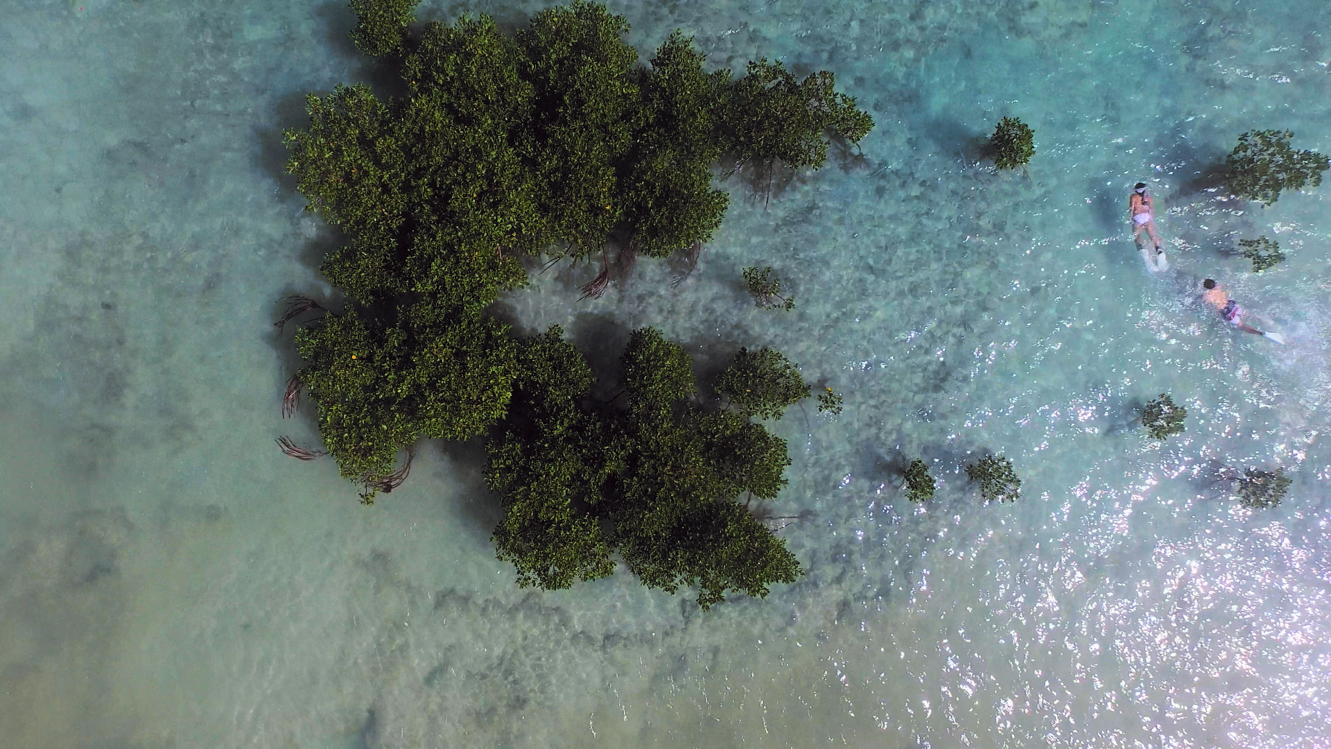 浮潜后可以水肺潜水吗,浮潜水肺潜水自由潜区别