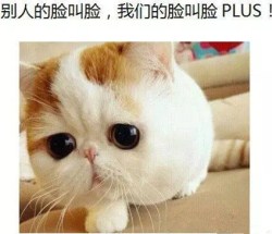 婚纱照拍照干货,红色婚纱照拍照教程