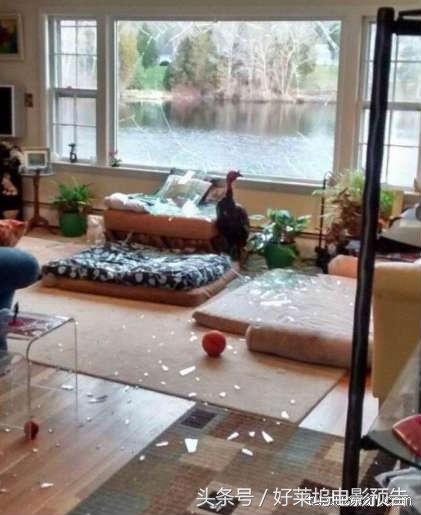 行尸走肉7季1-5解说,行尸走肉第七季主角团怎么样了