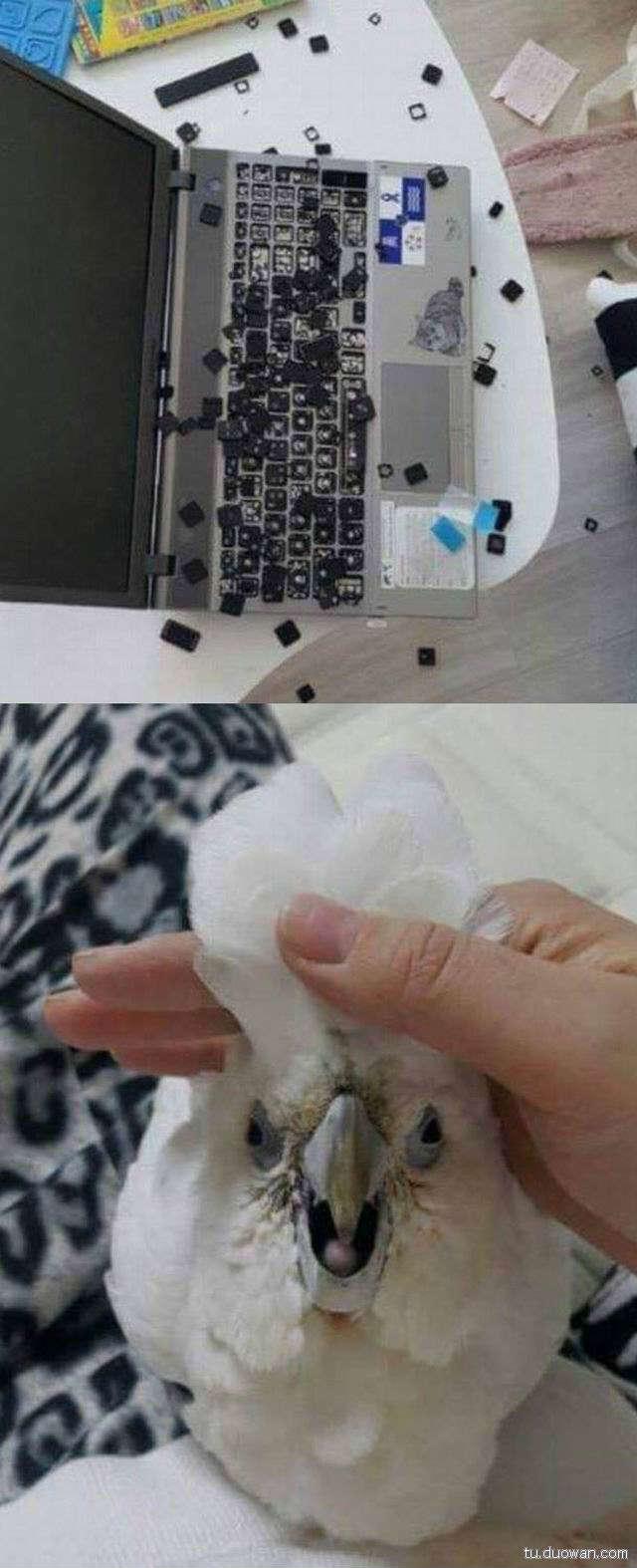 行尸走肉7季1-5解说,行尸走肉第七季主角团怎么样了