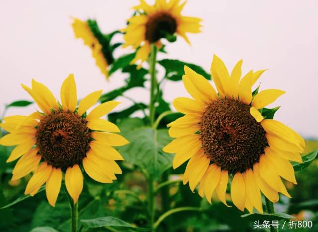 30岁之前要做十件事,20-30岁最应该做的3件事