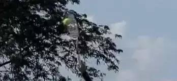 网球上旋球难回击,网球上旋球发全力不出界