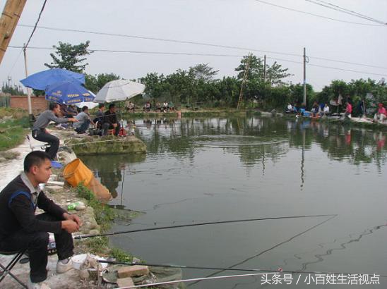 农村的十种最赚钱的小生意,农村致富的10个门路