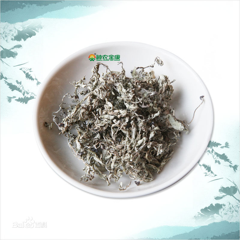 神奇！家乡山里随处可见的野藤叶竟然治好了皇帝的病