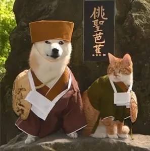 希望光棍节前大家脱单,撩人情话100个土味情话套路