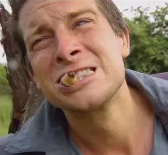 河豚被禁止了吗,河豚鱼禁售令