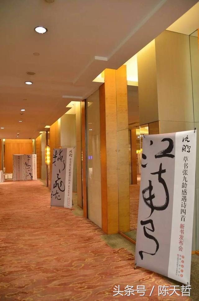 沈鹏书法作品缺点,书法家沈鹏书法到底好不好