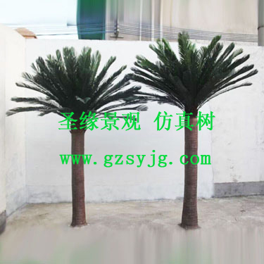 仿真苏铁树,苏铁树的介绍和特点是什么