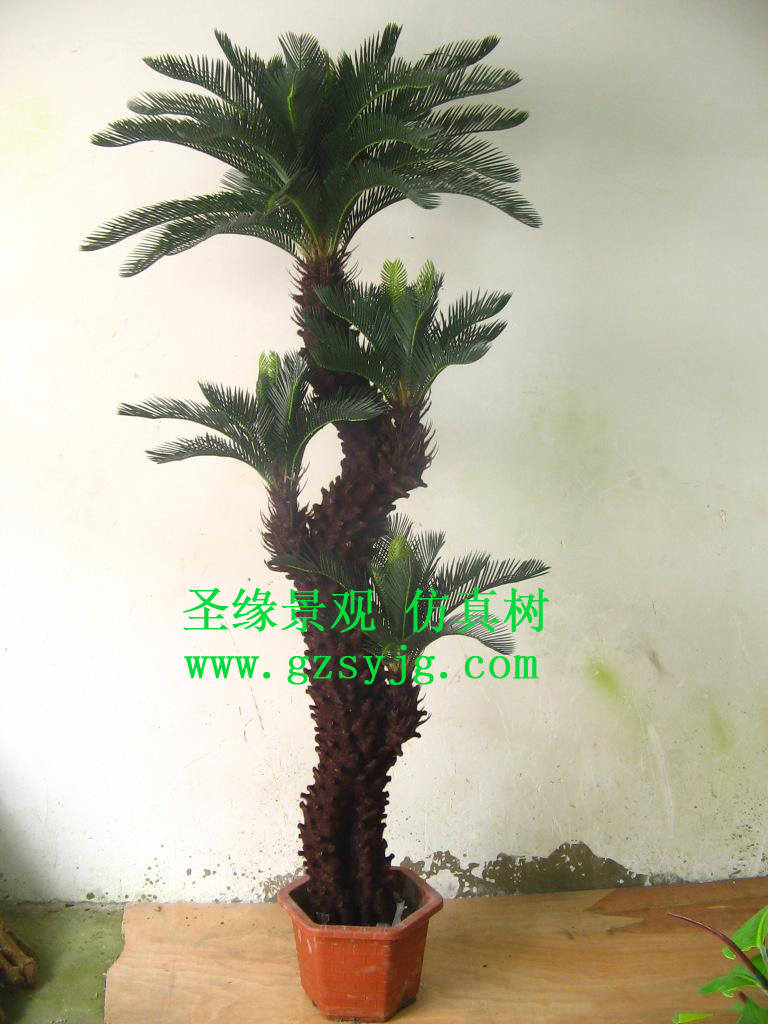 仿真苏铁树,苏铁树的介绍和特点是什么