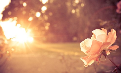 念念有声，我的世界你来过