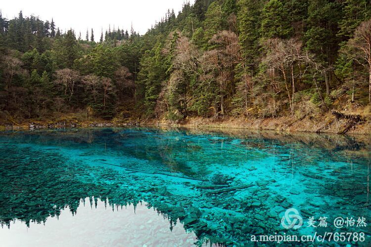 九寨沟让人失语的美丽童话世界,九寨沟有没有童话世界的景点