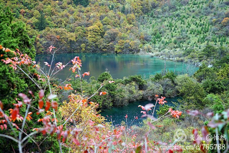 九寨沟让人失语的美丽童话世界,九寨沟有没有童话世界的景点
