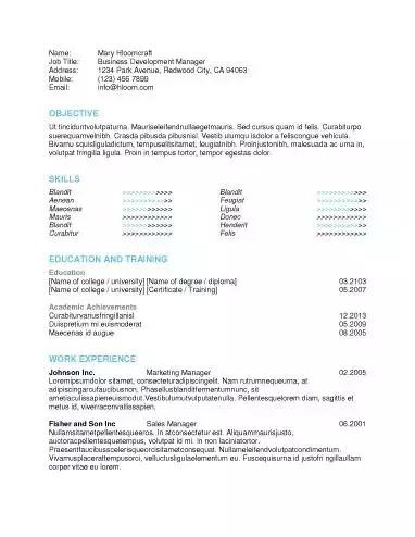 100个常用英文简历模板,通用个人简历完整版范文