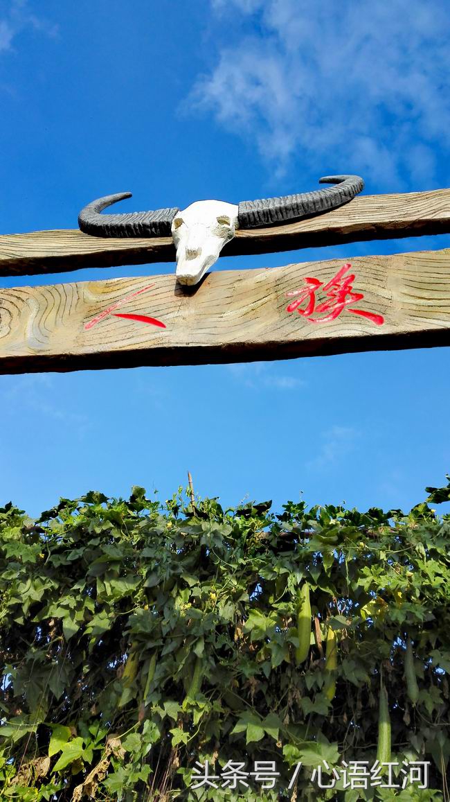 尼苏小镇打卡地,尼苏小镇是哪里