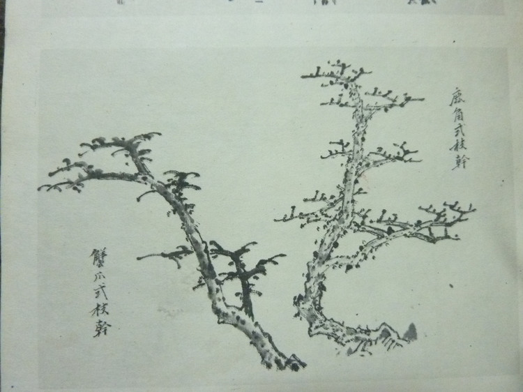 山水画基础技法画竹子,山水画基础技法之山石画法教程