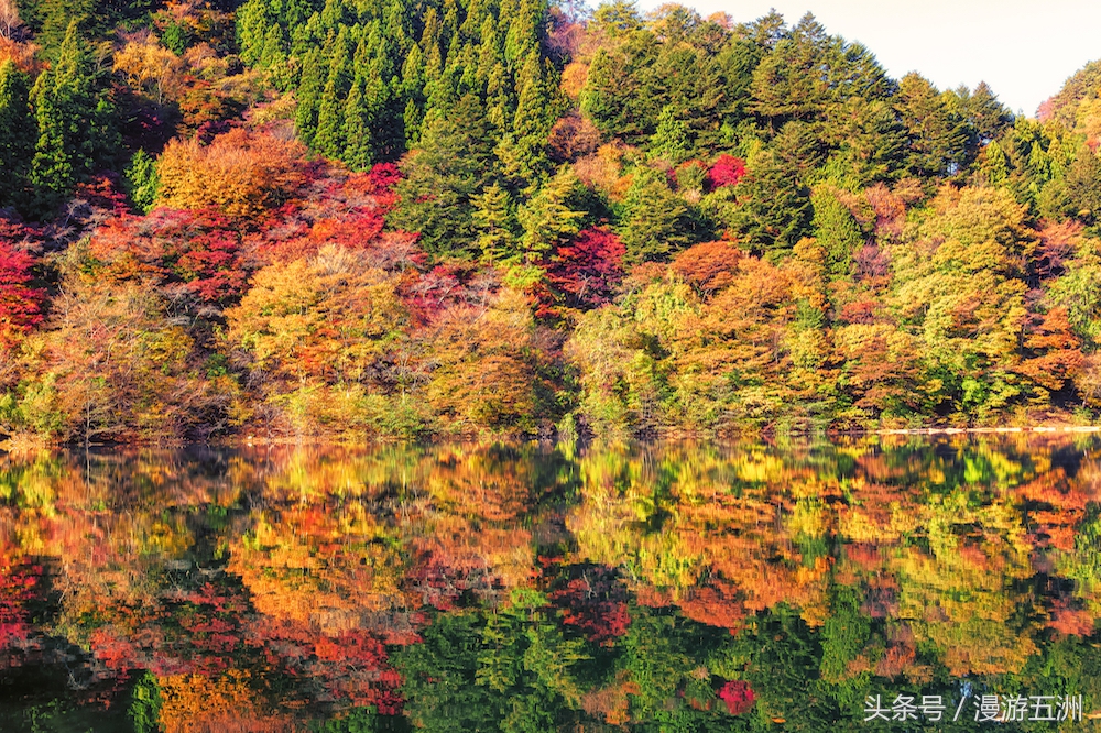 日本赏樱的最佳时间,日本赏枫最佳方法