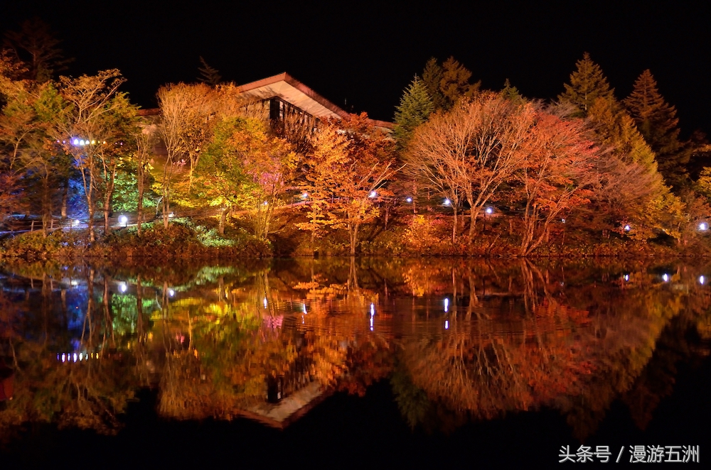 日本赏樱的最佳时间,日本赏枫最佳方法