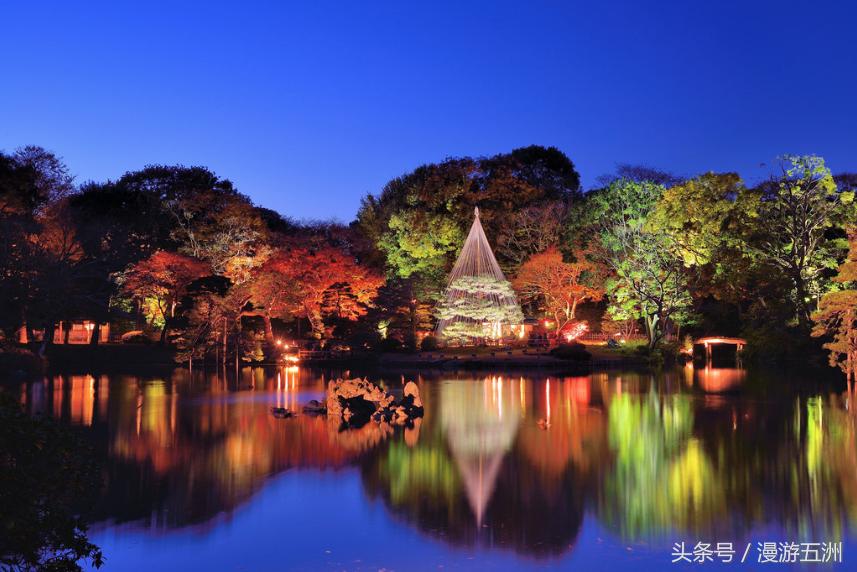 日本赏樱的最佳时间,日本赏枫最佳方法
