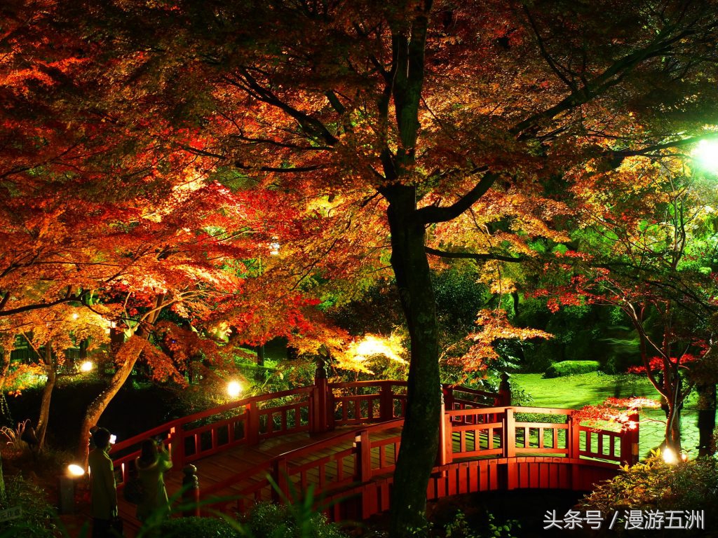 日本赏樱的最佳时间,日本赏枫最佳方法