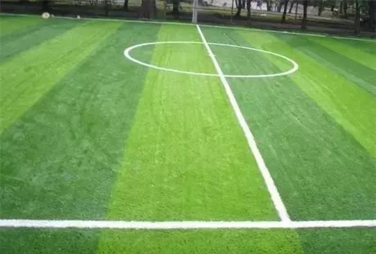 广东肇庆今日发生什么事情了,广东肇庆今日发生什么事