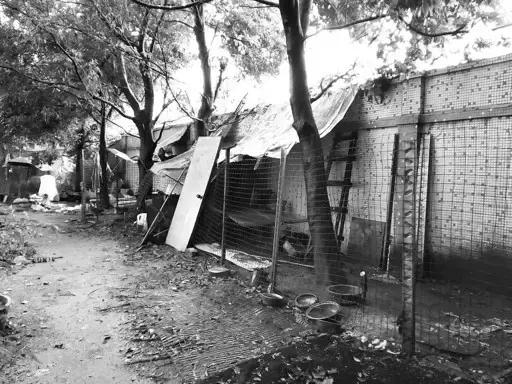 广东肇庆今日发生什么事情了,广东肇庆今日发生什么事