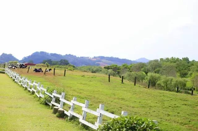 台湾初鹿牧场,台湾初鹿牧场在哪里