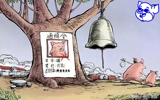 养猪环评手续应怎样办理,养猪环评审批文件