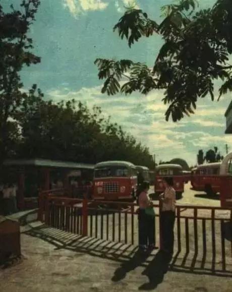 北京老司机开的碉堡公交线,坐过一条你就老了!