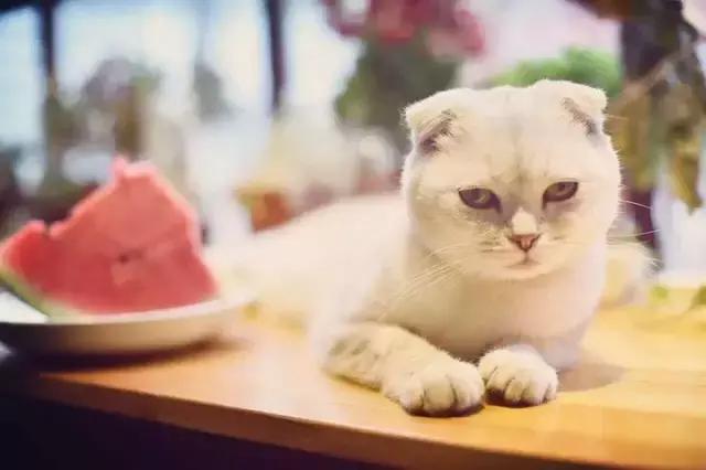 青旅乐趣,旅行路上的青旅