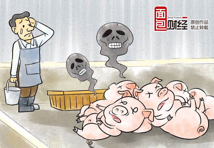 猪肉行业分析及前景,央企投资生猪养殖场