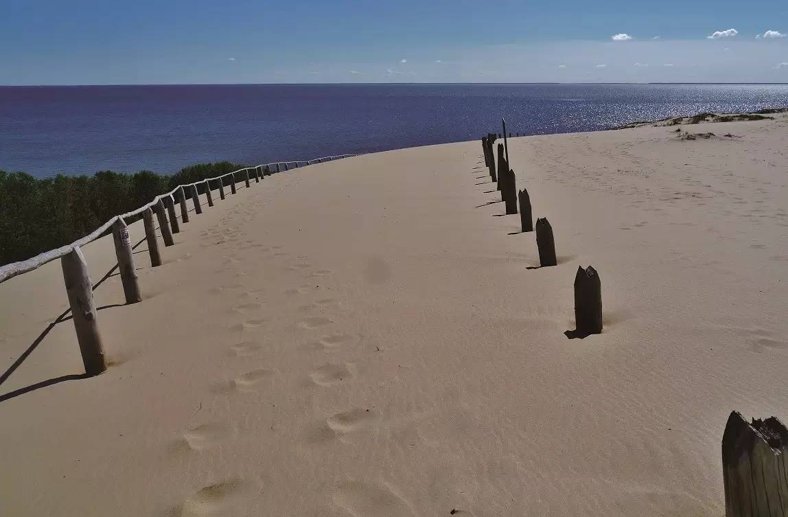 库尔斯沙嘴森林,库尔斯沙嘴对立陶宛的影响