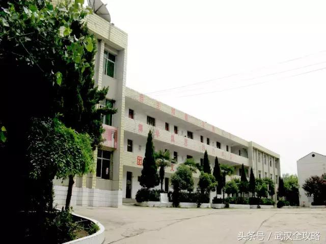 湖北省100强中小学排行榜,湖北省500强学校