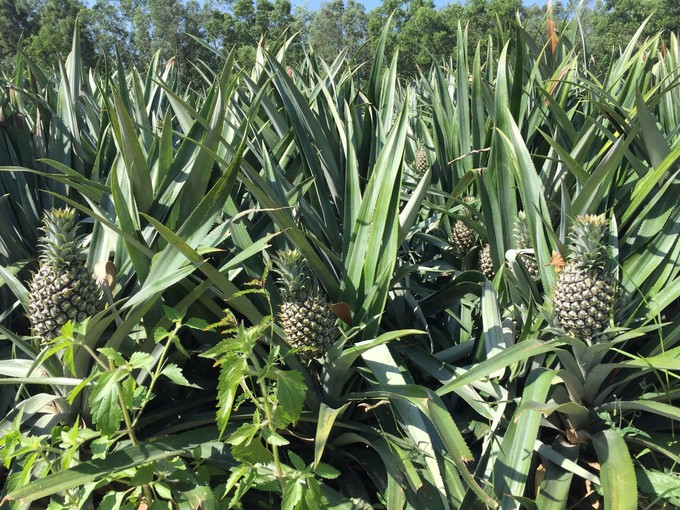 我的第一次出行视频,我的第一次不间断骑行100公里