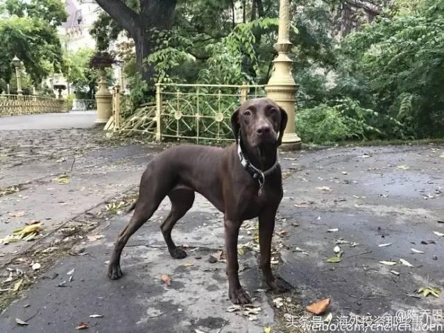 陈乔恩最喜欢什么,陈乔恩最喜欢的男明星