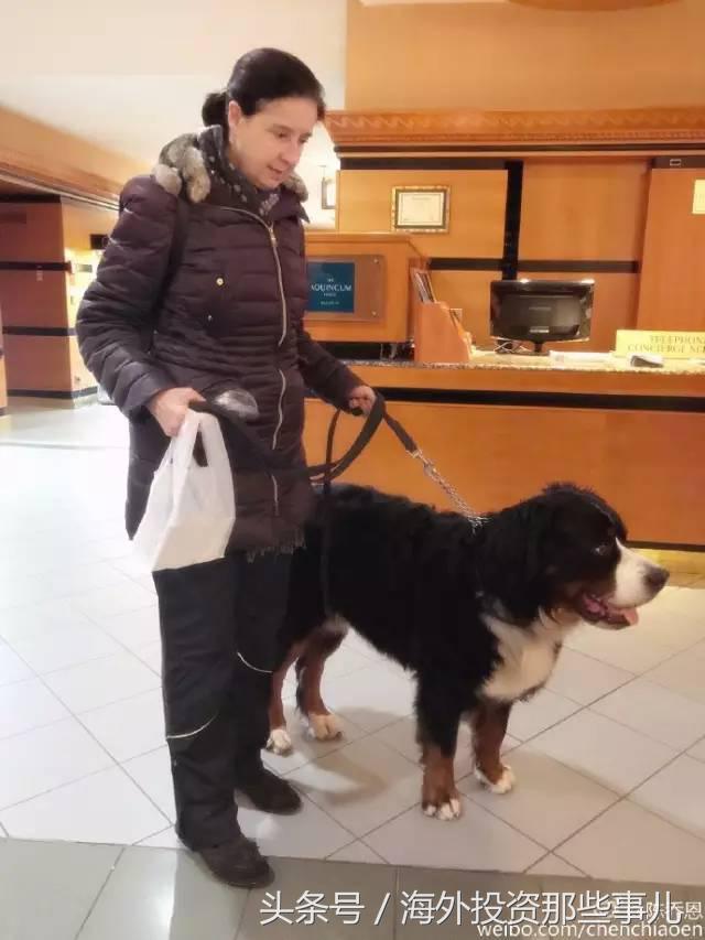 陈乔恩最喜欢什么,陈乔恩最喜欢的男明星