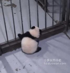 萌妹子搞笑动态图,小女孩萌萌的搞笑动态图