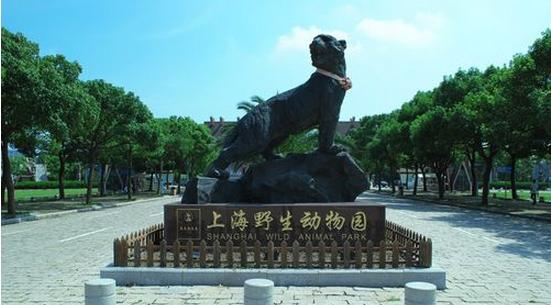 上海野生动物园攻略自驾车,上海野生动物园攻略午餐