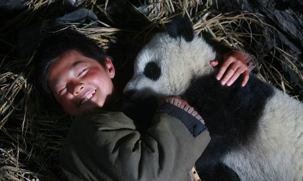 盘点十部感人的动物电影,动物主演的电影